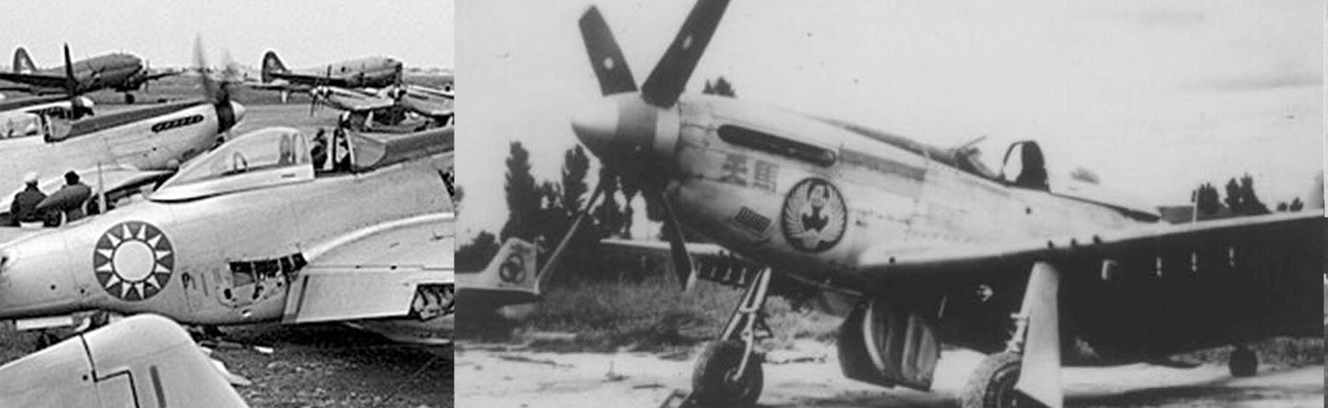 ROC P-51D Mustang aircraft fighter 4th Fighter Group, Captain Hsu Hua Chiang, ROCAF, 1949 (#P-14369, 2199)